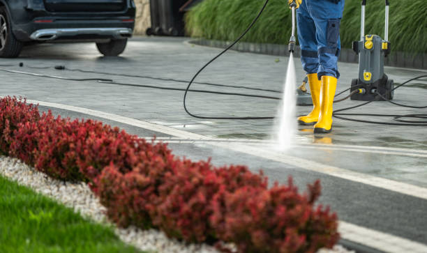 Best Driveway Cleaning and Restoration in Westway, TX